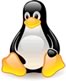 Web Hosting Web Hosting